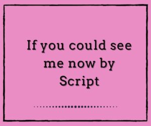 If You Could See Me Now by The Script